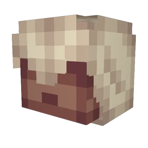 SamDigi2 Minecraft avatar head, 3D render