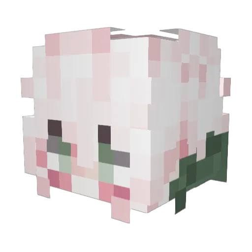 SamDucks Minecraft avatar head, 3D render
