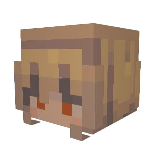SamGamer101 Minecraft avatar head, 3D render