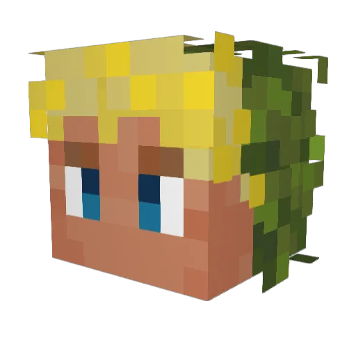 SamHamw1ch Minecraft avatar head, 3D render