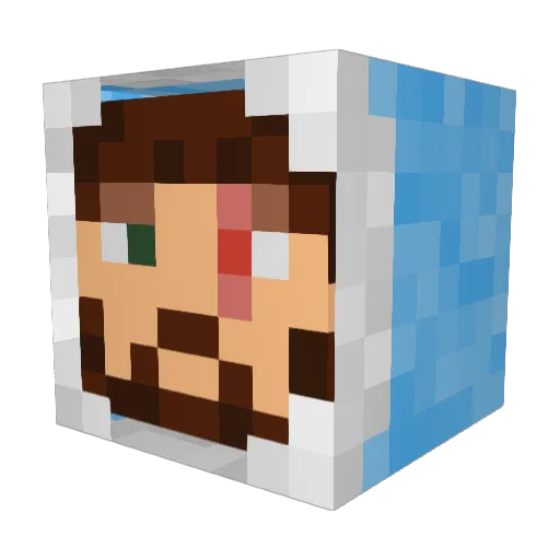 SamIam__ Minecraft avatar head, 3D render