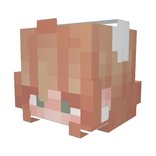 SamIndelible Minecraft avatar head, 3D render
