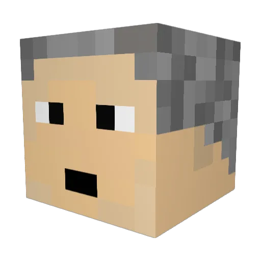 SamJIC69420x Minecraft avatar head, 3D render