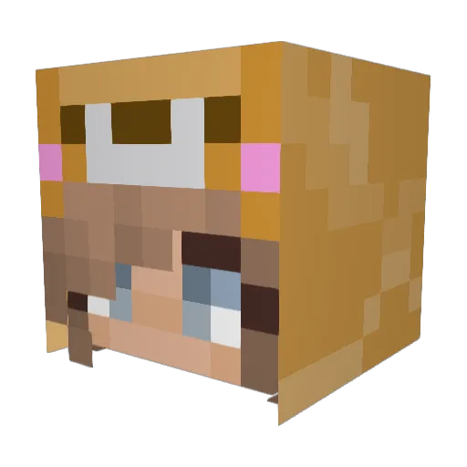 SamLikesSloths Minecraft avatar head, 3D render
