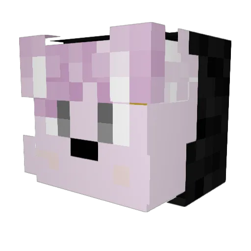 SamS291 Minecraft avatar head, 3D render