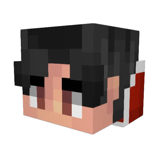 SamSoStrange14 Minecraft avatar head, 3D render