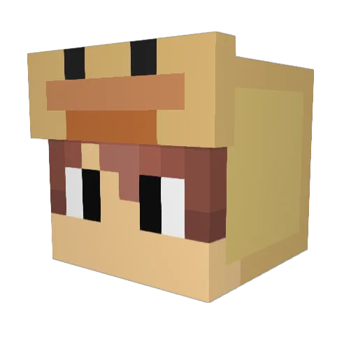 SamTheMan1234 Minecraft avatar head, 3D render