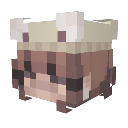 SamWorld Minecraft avatar head, 3D render