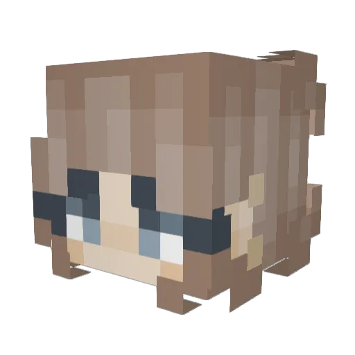 Sam_27 Minecraft avatar head, 3D render