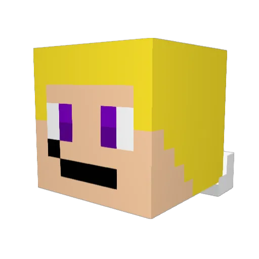 Sam_BS_x Minecraft avatar head, 3D render