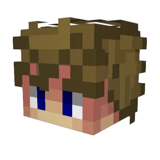 Sam_Fu Minecraft avatar head, 3D render