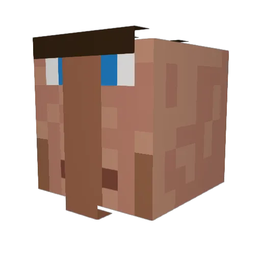 Sam_Hb Minecraft avatar head, 3D render