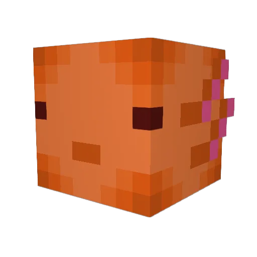 Sam_hoss Minecraft avatar head, 3D render
