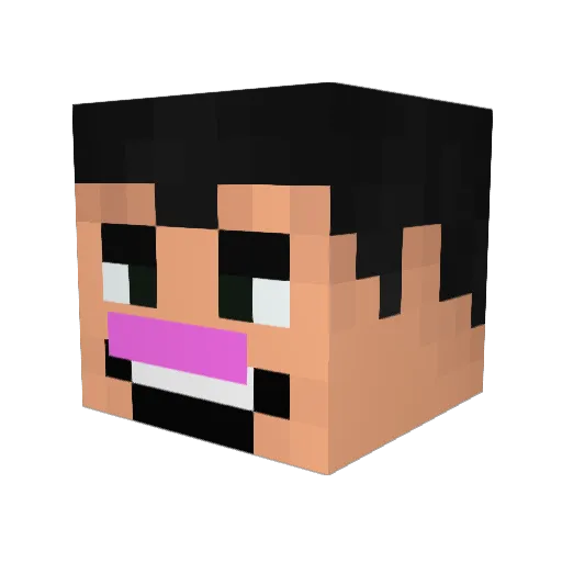 Sam_jam_ham Minecraft avatar head, 3D render