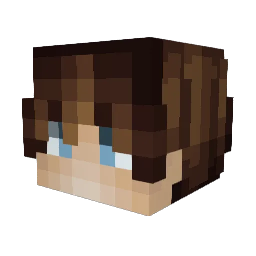 Sam_zzz_ Minecraft avatar head, 3D render