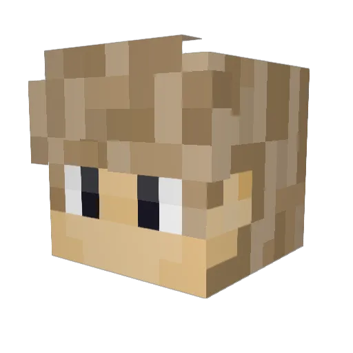 Samaarsh Minecraft avatar head, 3D render