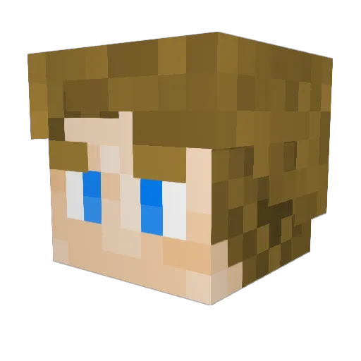 Samahl_ Minecraft avatar head, 3D render
