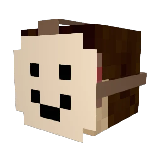 Samanson99 Minecraft avatar head, 3D render