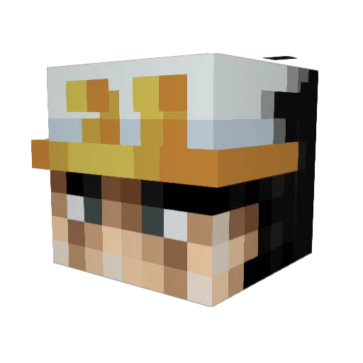 Sambasti9002 Minecraft avatar head, 3D render