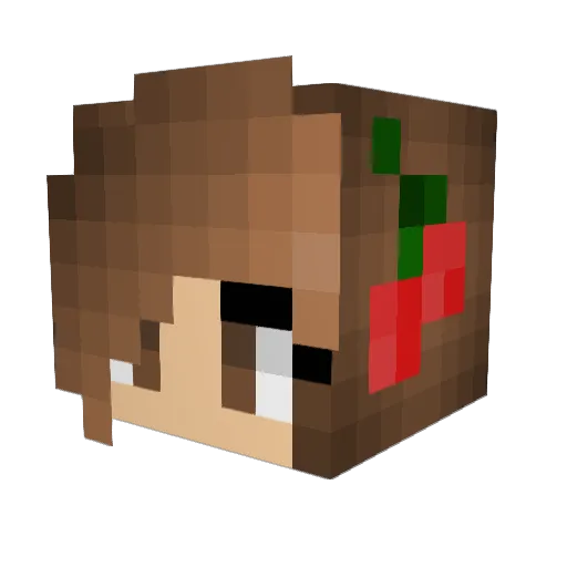 Sambo717 Minecraft avatar head, 3D render