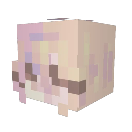 Samdogzz Minecraft avatar head, 3D render