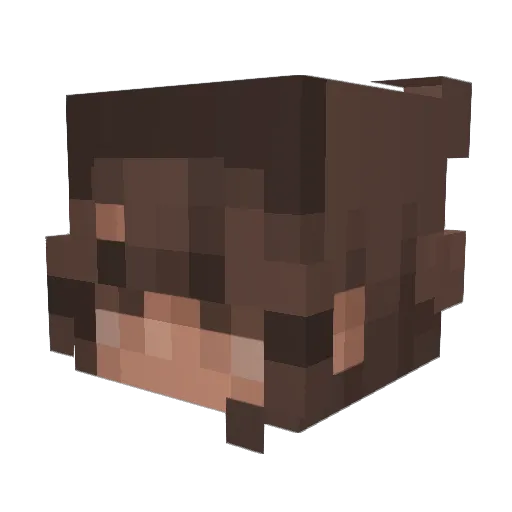 SamenSpray Minecraft avatar head, 3D render