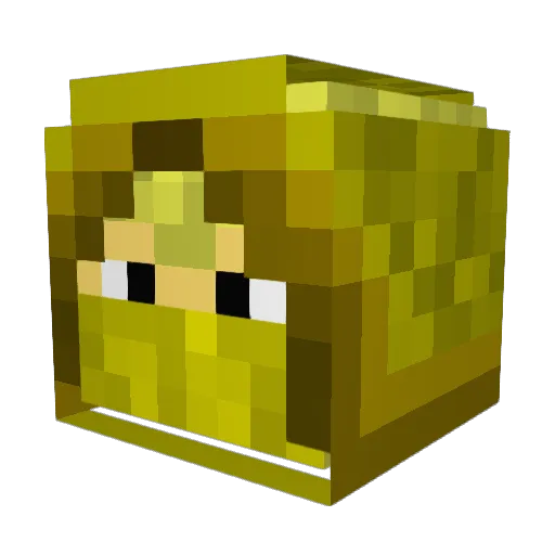 Samenator500 Minecraft avatar head, 3D render