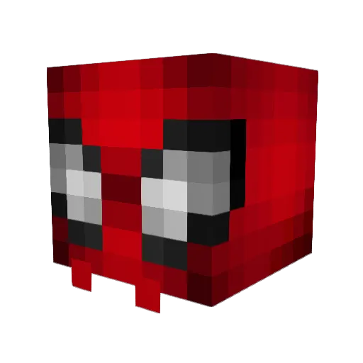 SamerDuffy11 Minecraft avatar head, 3D render