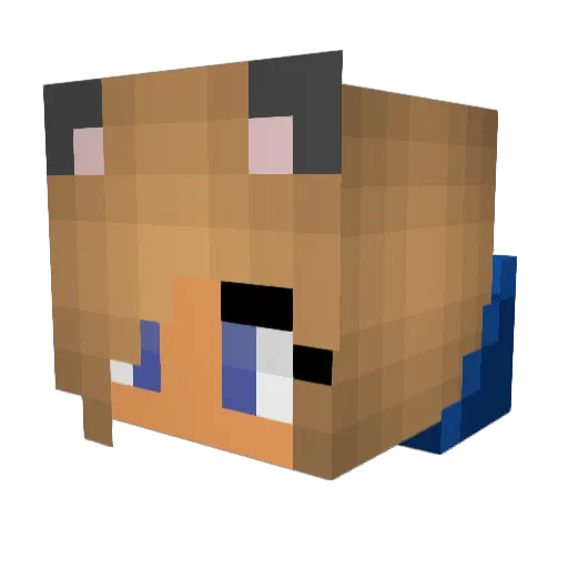 Sami543 Minecraft avatar head, 3D render
