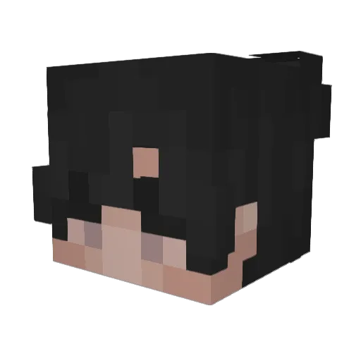 SamiD11 Minecraft avatar head, 3D render