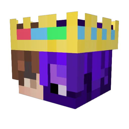 SamiD1_ Minecraft avatar head, 3D render