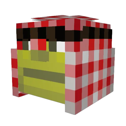 SamiStinks Minecraft avatar head, 3D render