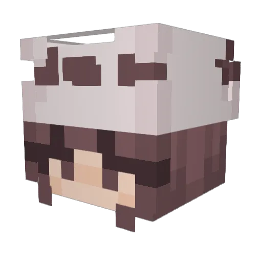 SamiTacos Minecraft avatar head, 3D render