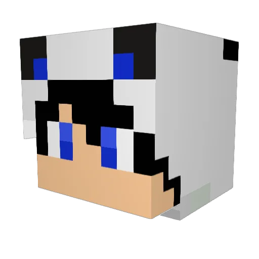 Samiam3 Minecraft avatar head, 3D render