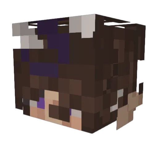 Samieisgone Minecraft avatar head, 3D render