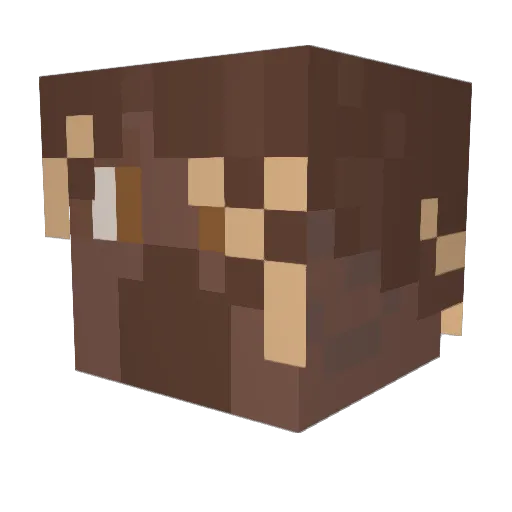 Samikatz Minecraft avatar head, 3D render