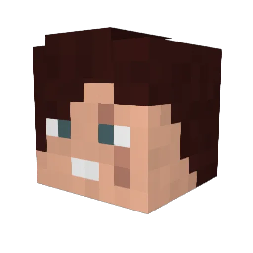 Samin__ Minecraft avatar head, 3D render