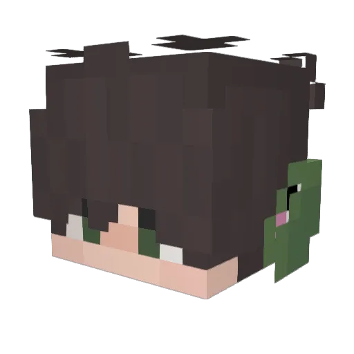 Saminoo_ Minecraft avatar head, 3D render