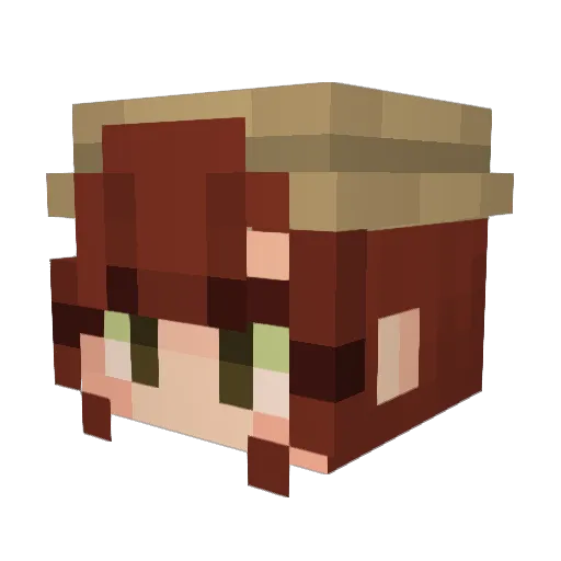 Saminouche Minecraft avatar head, 3D render