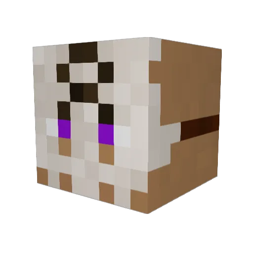 SamirWit Minecraft avatar head, 3D render