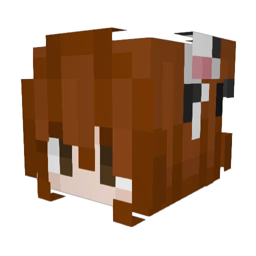 Samirxg Minecraft avatar head, 3D render