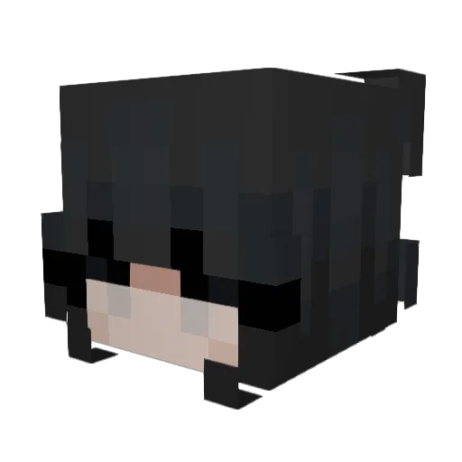 Samiscool0 Minecraft avatar head, 3D render