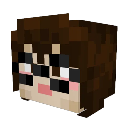 Samitizer_63 Minecraft avatar head, 3D render