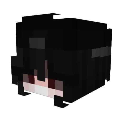 Samjanfiki Minecraft avatar head, 3D render