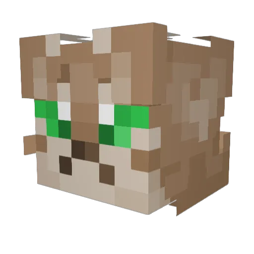 Samkai28 Minecraft avatar head, 3D render