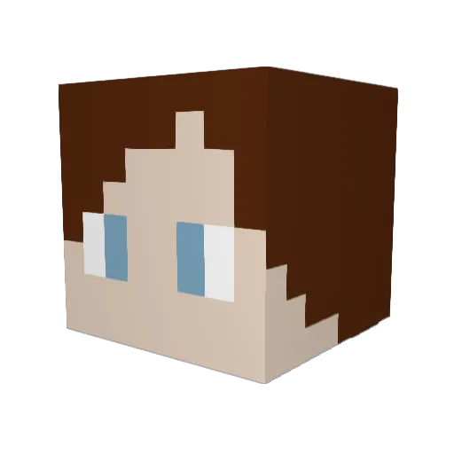 Samkoxd Minecraft avatar head, 3D render