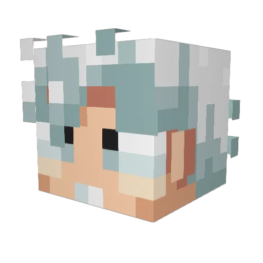 Saml_you Minecraft avatar head, 3D render