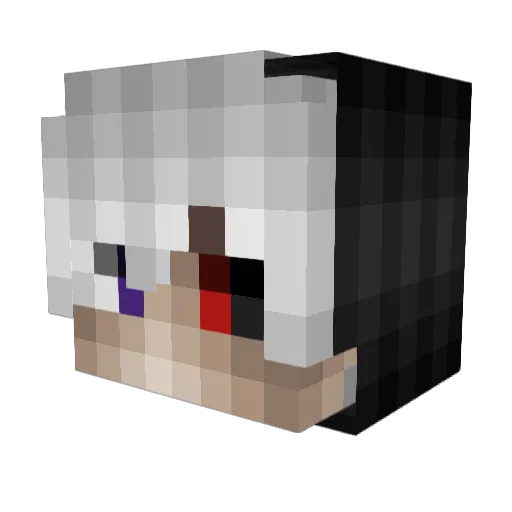 SamlerYT Minecraft avatar head, 3D render