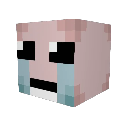 Samm0th1 Minecraft avatar head, 3D render