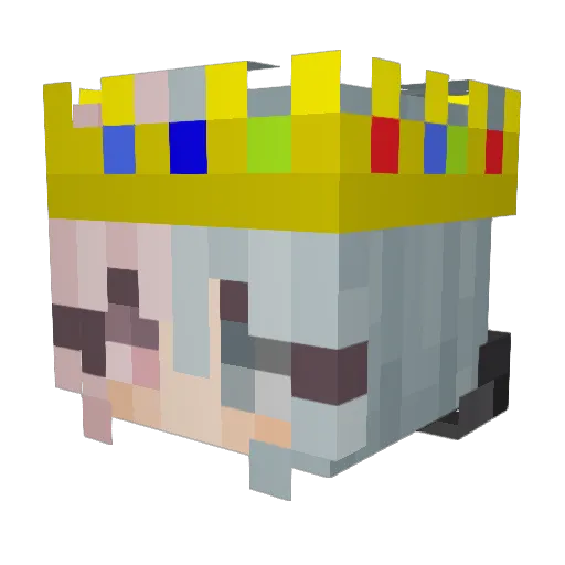 Sammalamma__ Minecraft avatar head, 3D render